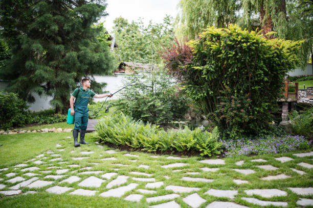 Best Residential Pest Control  in Waipio Acres, HI