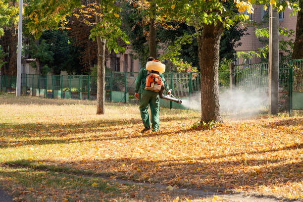 Best Commercial Pest Control Services  in Waipio Acres, HI